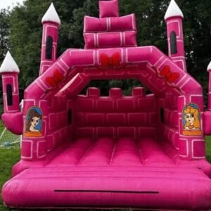 Jumping Castle & Water Slide Pallet Liquidation - Image 13
