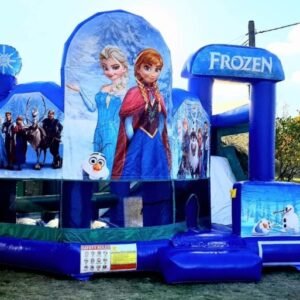 Jumping Castle & Water Slide Pallet Liquidation - Image 7
